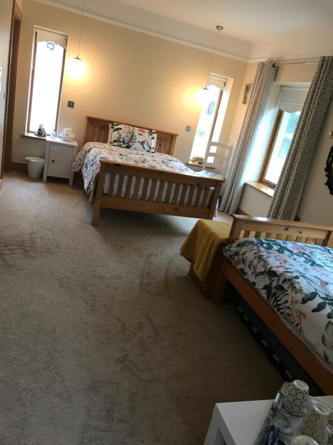 Laithreach Briuin B&B W23E0H9 Maynooth Dış mekan fotoğraf